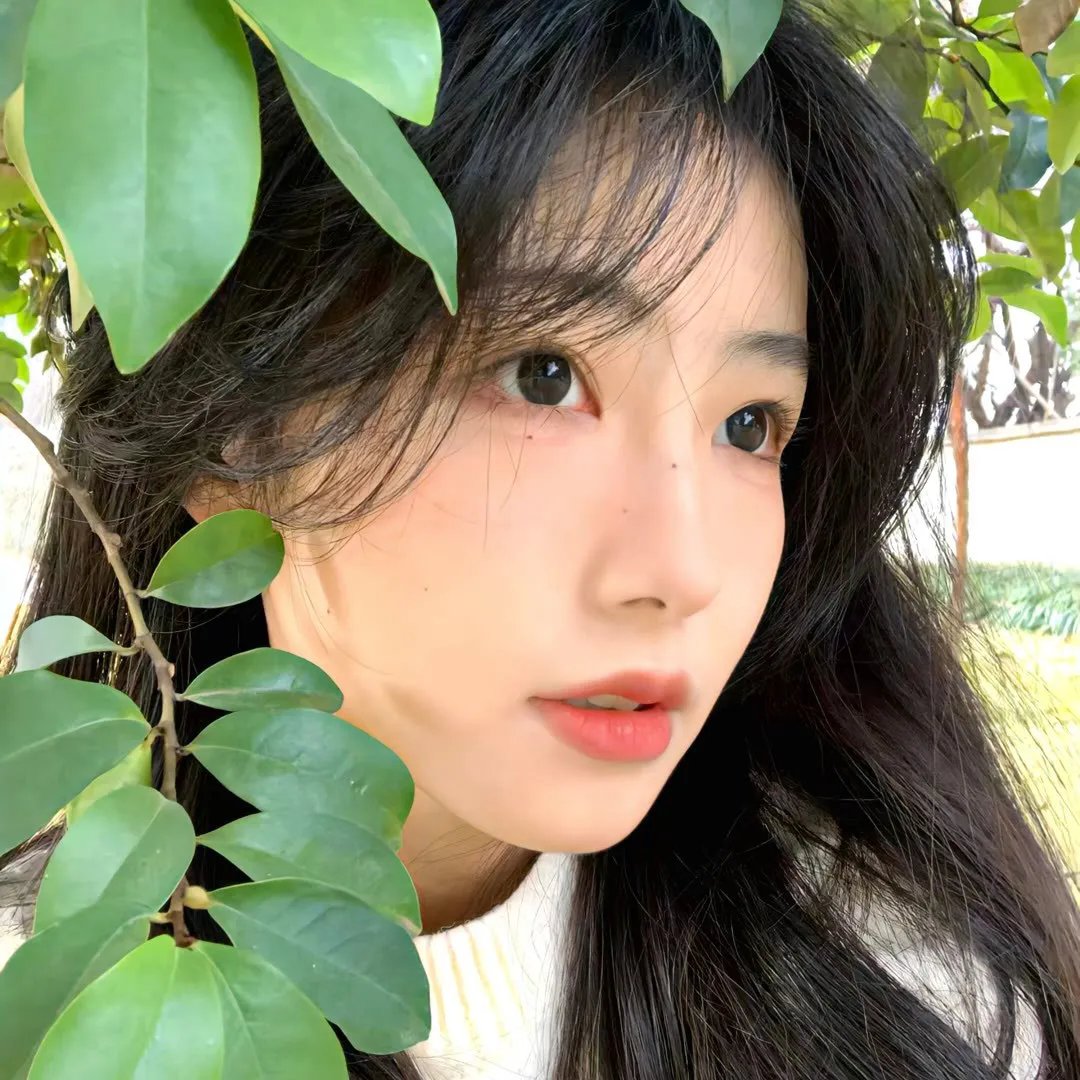 丈夫宝鉴